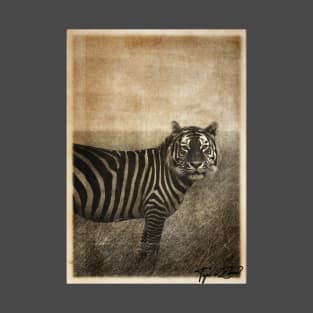 Tiger and Zebra Surreal mashup T-Shirt