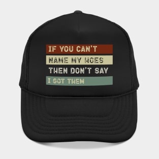Funny If You Can't Name My Hoes Quote Don't Say I got them Gift Hat