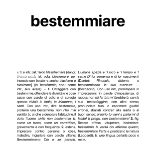 Bestemmiare! T-Shirt