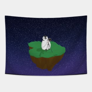 Stargazing Tapestry