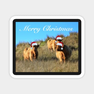 Cladich Cows Christmas Magnet