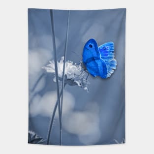 Blue butterfly Tapestry