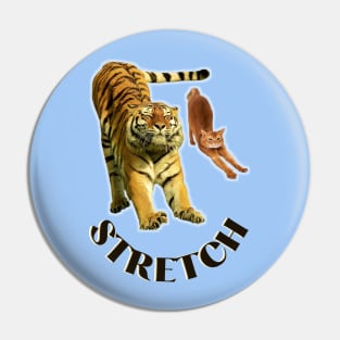 Stretch exercise by a tiger and a cat - black text to Pin