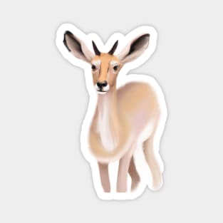 Cute Antelope Drawing Magnet