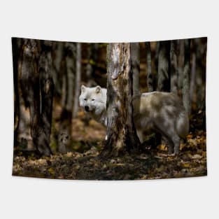 Arctic Wolf Tapestry