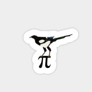 Eurasian Magpie standing on pi symbol Magnet