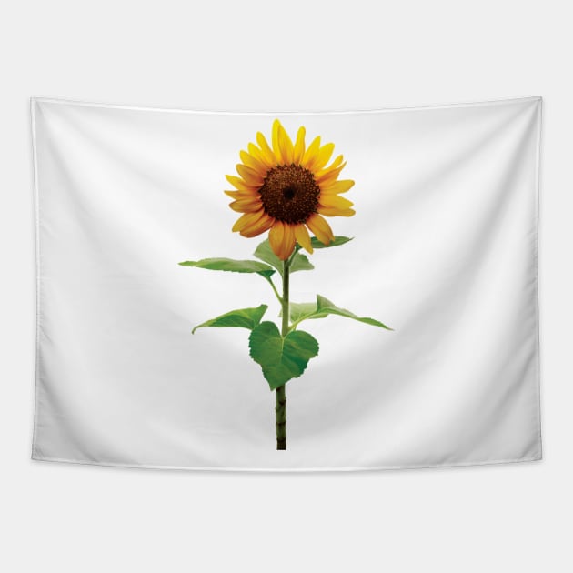 Single Stem Sunflower Yellow Floral Flower Tapestry by Blessing Direct