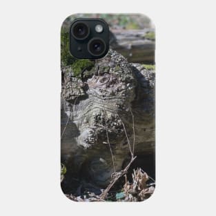 Mossy Logs Phone Case