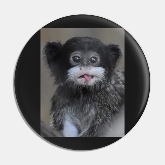 Bearded Emperor Tamarin Pin by Sharonzoolady