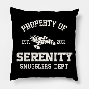 Property of serenity Pillow