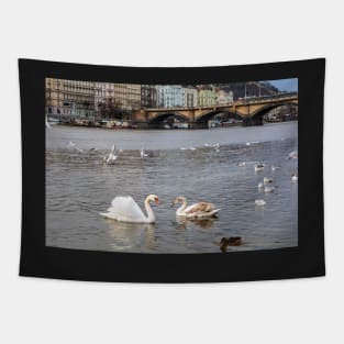 Birds at Vltava river in Prague Tapestry