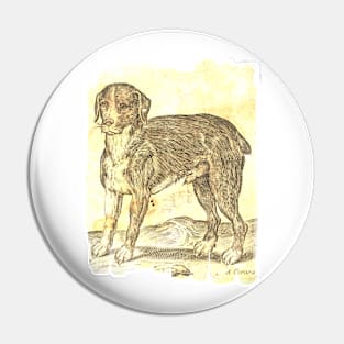 Italian Dog Pin