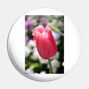 One Soft Pink Tulip Pin