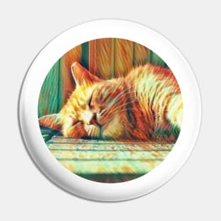 Chubby floppy cat Pin