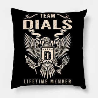 DIALS Pillow