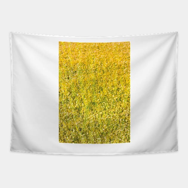 Texture - Golden Grass Tapestry by PorinArt