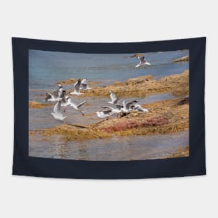 seagulls Tapestry