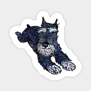 Funny miniature schnauzer, cute puppy face Magnet