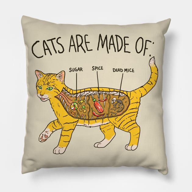 Cat Anatomy Pillow by Hillary White Rabbit