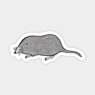 Pygmy Shrew Ink Art - cute animal design - on white Magnet