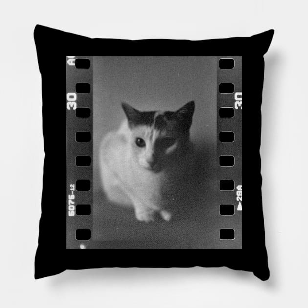 Analog Cat Pillow by s.elaaboudi@gmail.com