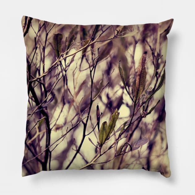 Patterns in my Winter Garden Pillow by micklyn