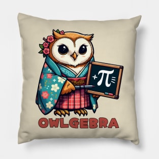 Pi day owl Pillow