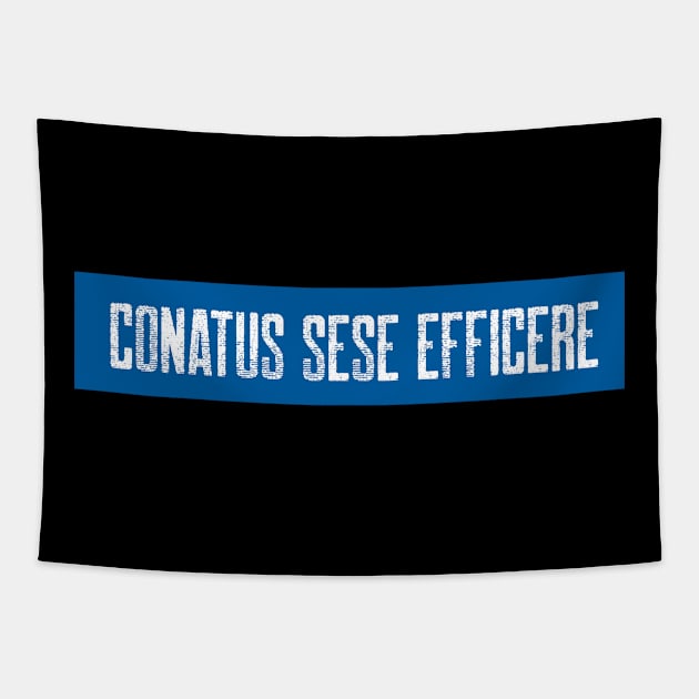 Conatus sese efficere Tapestry by StoicChimp