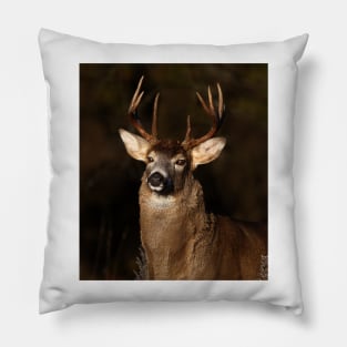 I am 'King' of this forest! - White-tailed Deer Pillow