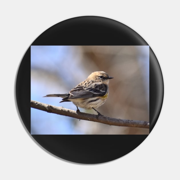 Yellow rumped Warbler Pin by ToniaDelozier