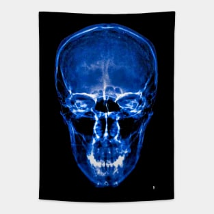 Skull coloured blue skull X-ray , Tapestry