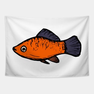 Platy - freshwater aquarium fish Tapestry