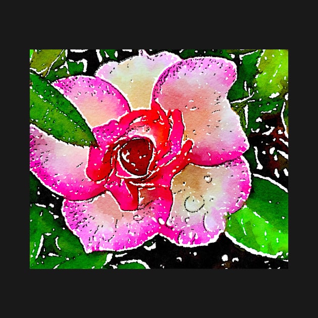 Little garden rose with dew drops by Dillyzip1202