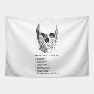 Labeled Skull Tapestry