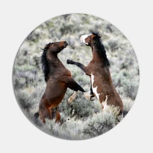 Wild Mustang Battle Photo Pin