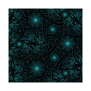 Spider Webs or Stars? T-Shirt