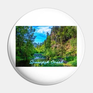 Spearfish Creek in the Black Hills Pin