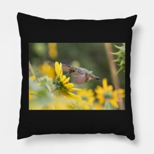 Humming Flower Pillow