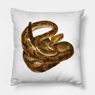 serpent,cobra,reptile,viper,venom,lizard,rattlesnake,king cobra Pillow