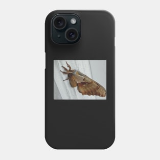 Gentle Giant Polyphemus Moth Phone Case