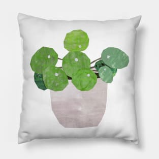 Pilea - house plant Pillow