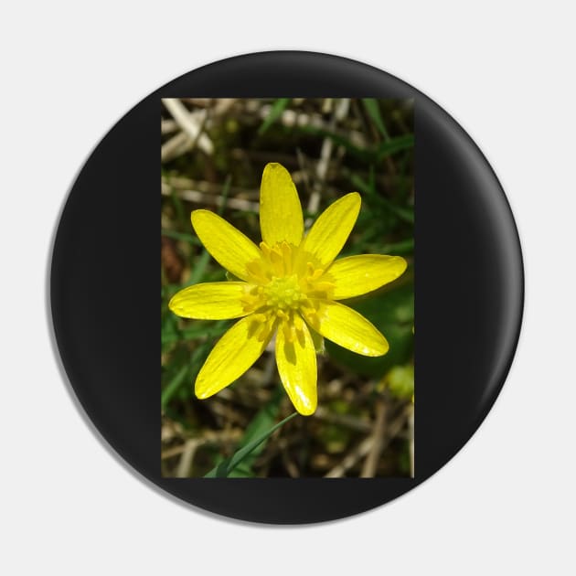 Lesser Celandine Pin by AH64D