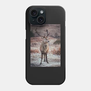 'Frosty Autumn Highland Stag', Glen Etive, Glencoe. Phone Case