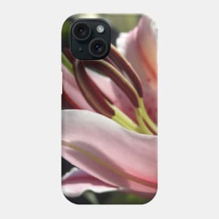 Beautiful photograph of lily flower Phone Case