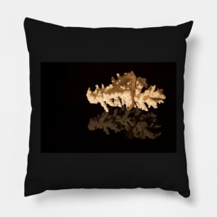 Corals and seahorse on black reflective background Pillow
