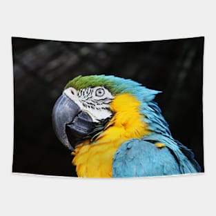 Parrot Tapestry