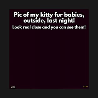 Pic of my kitty fur babies, outside, last night! T-Shirt