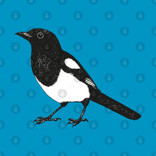 Magpie pen drawing by Bwiselizzy