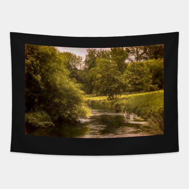 Swans On The Itchen a Digital Painting Tapestry by IanWL