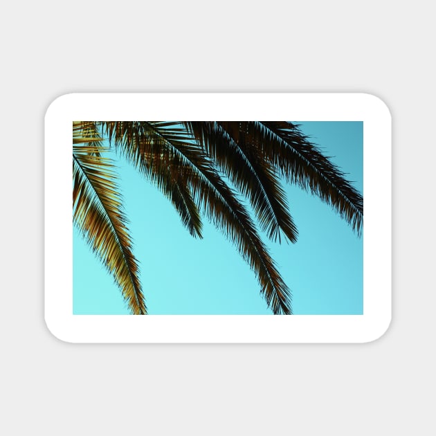 Tropical Palm Leaves Magnet by NewburyBoutique